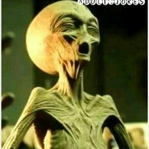 Meet your Posher, Lee